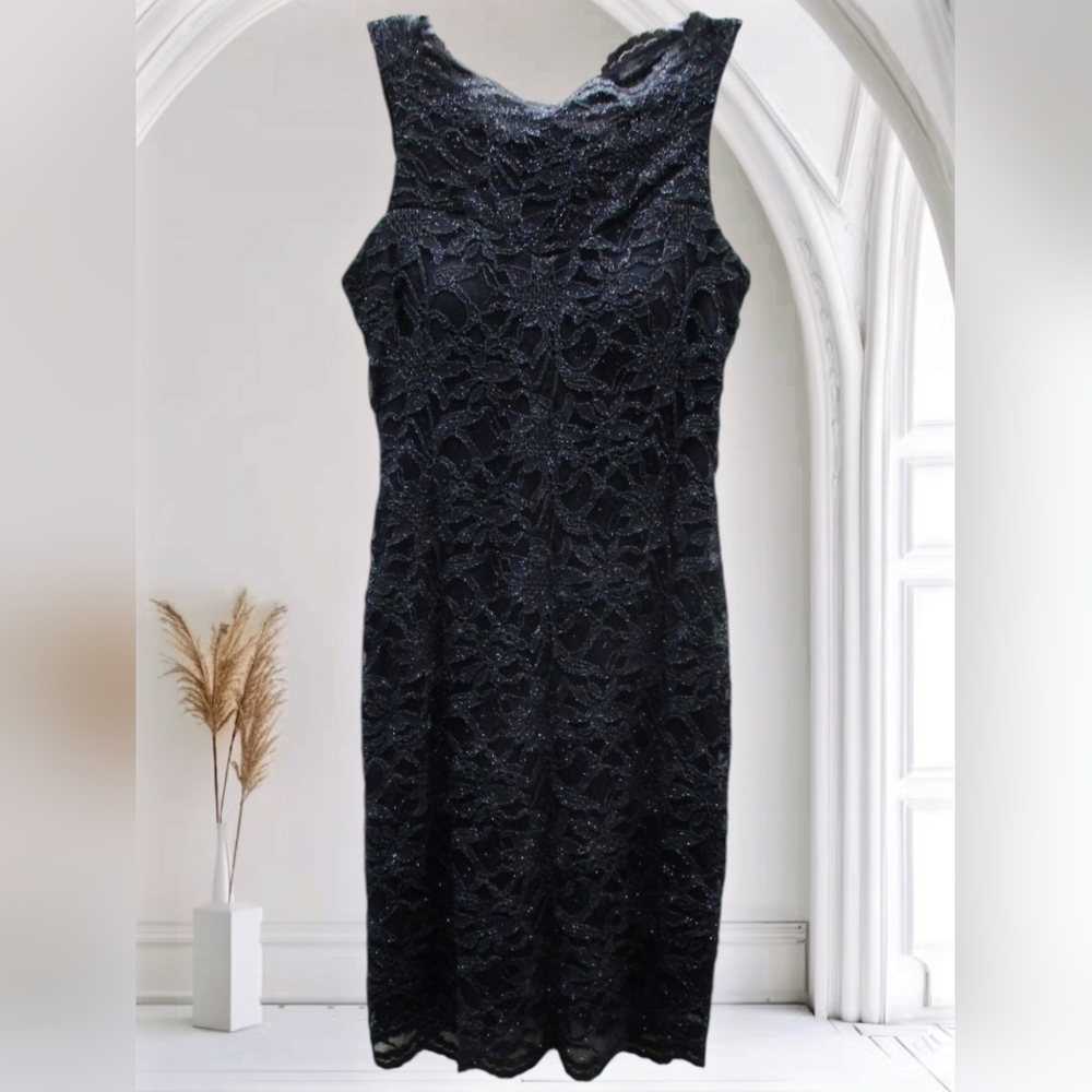 Elegant Black Lace Dress